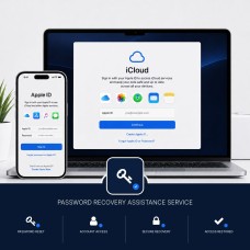Password Recovery Assistance Service