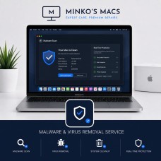 Malware & Virus Removal Service