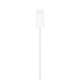 Apple Watch Magnetic Fast Charger to USB-C Cable (1 m)