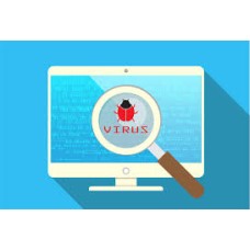 Malware & Virus Removal Service